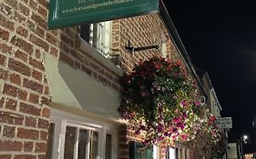 Horse And Groom